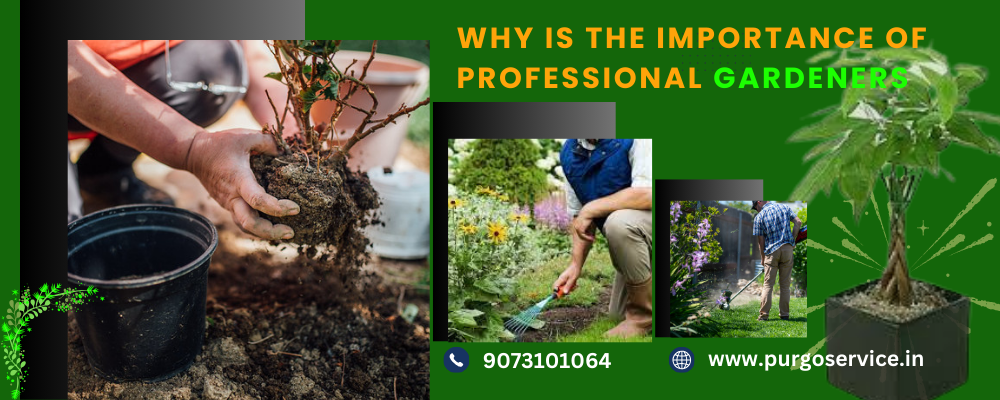 Best Gardening Service In Kolkata